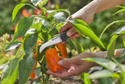 Gardena VeggieCut Tuinmes -Tuin Gereedschap 12211 20 5