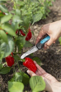 Gardena VeggieCut Tuinmes -Tuin Gereedschap 12211 20 6