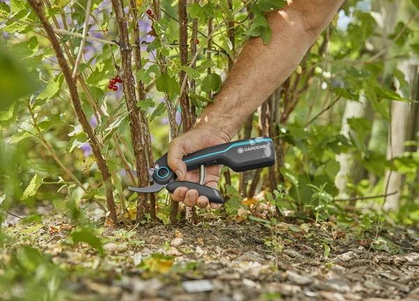 Gardena AssistCut Accu Snoeischaar 6 Gardena AssistCut Accu Snoeischaar - Afbeelding 4