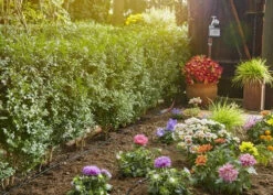 Gardena MDS Startset S Voor 15 M Rijplanten -Tuin Gereedschap 13010 20 gardena mds startset s rijplanten 2.64 3