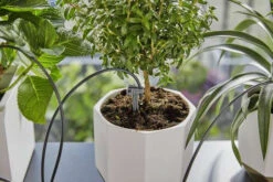 Gardena Vakantie Bewateringsset Incl. Reservoir -Tuin Gereedschap 13366 20 4