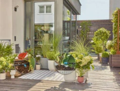 Gardena MDS Set Voor Balkon & Terras -Tuin Gereedschap 13400 20.3