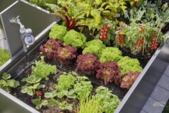 Gardena MDS Startset Verhoogde Moestuin & Borders -Tuin Gereedschap 13455 20.2