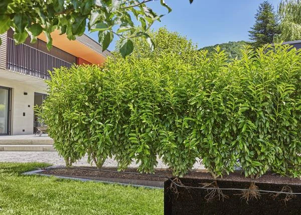 Gardena MDS Uitbreidingsset Voor Hagen En Rijplanten 50m 5 Gardena MDS Uitbreidingsset Voor Hagen En Rijplanten 50m - Afbeelding 3