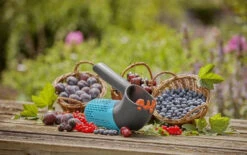 Gardena Combisystem Bessen Plukker -Tuin Gereedschap 17400 20 4