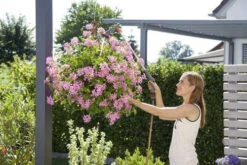 Gardena Comfort Broes Met Verlengstuk -Tuin Gereedschap 18335 20 gardena comfort broes met verlengstuk 3.65 3