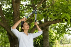 Gardena Takkenschaar EasyCut 500B -Tuin Gereedschap 4078500043342 gardena takkenschaar easycut 500b 2.298