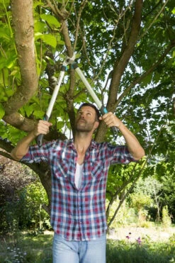 Gardena Takkenschaar EasyCut 680B -Tuin Gereedschap 4078500043366 gardena takkenschaar easycut 680b 2.299