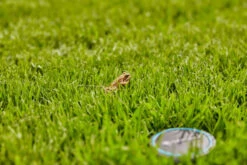 Gardena Bodemvochtigheidssensor -Tuin Gereedschap 4078500045575 gardena bodemvochtigheidssensor 5.390