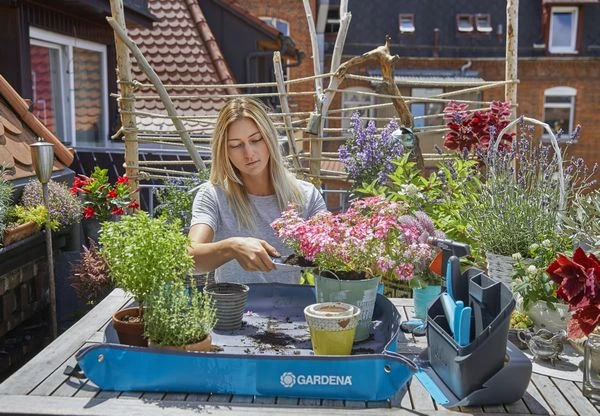 Gardena City Gardening Beplantingsmat S 5 Gardena City Gardening Beplantingsmat S - Afbeelding 3