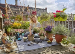 Gardena City Gardening Beplantingsmat L 9 Gardena City Gardening Beplantingsmat L -Tuin Gereedschap 4078500046251 gardena city gardening beplantingsmat l 2.301