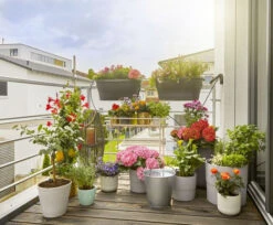 Gardena AquaBloom Set 13 Gardena AquaBloom Set -Tuin Gereedschap 4078500049481 gardena aquabloom set 3.319