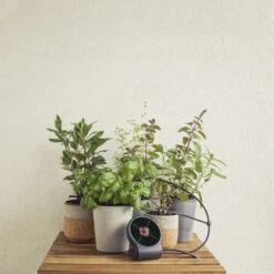 Gardena AquaBloom Set 15 Gardena AquaBloom Set -Tuin Gereedschap 4078500049481 gardena aquabloom set 5.319