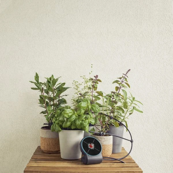 Gardena AquaBloom Set 8 Gardena AquaBloom Set - Afbeelding 6