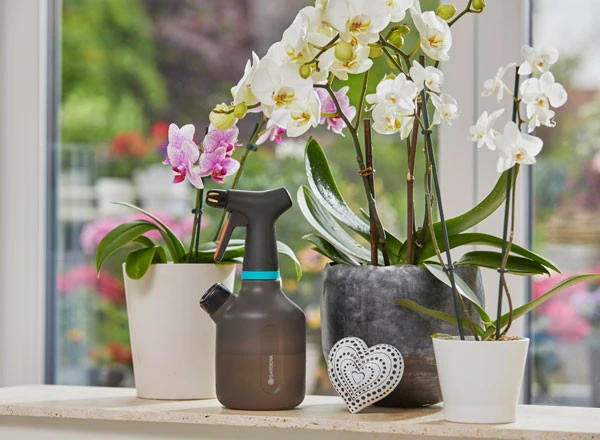 Gardena Plantenspuit 1 L 4 Gardena Plantenspuit 1 L - Afbeelding 2