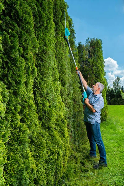 Gardena Accu Telescopische Heggenschaar THS 42/18V P4A-zonder Accu 8 Gardena Accu Telescopische Heggenschaar THS 42/18V P4A-zonder Accu - Afbeelding 6