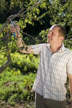 Gardena Comfort Hefboomsnoeischaar SmartCut -Tuin Gereedschap 8798 20 gardena comfort hefboomsnoeischaar smartcut 2.64 2