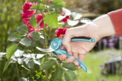 Gardena Classic Snoeischaar -Tuin Gereedschap 8857 20 gardena classic snoeischaar 2.60 3