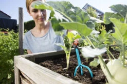 Gardena Combi-System Handkrabber -Tuin Gereedschap 8921 20 gardena combi system handkrabber 2.61 3