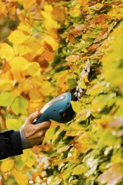 Gardena Accu Gras En Struikschaar ClassicCut Li -Tuin Gereedschap 9885 20 1